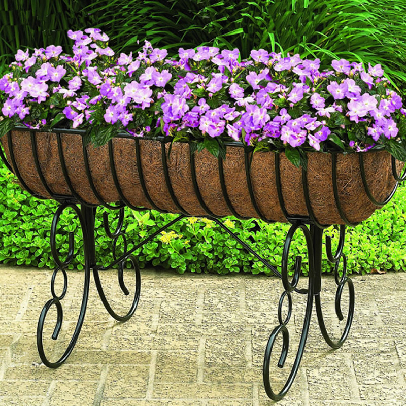 CobraCo Oval Plant Stand & Reviews Wayfair